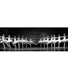 Swan Lake ballet - Anonymous