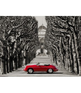Roadster in tree lined road, Paris - Gasoline Images
