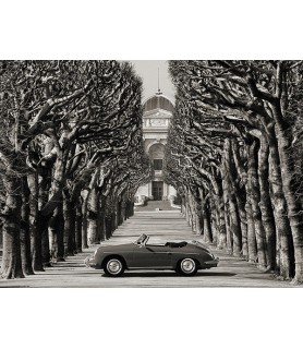 Roadster in tree lined road, Paris (BW) - Gasoline Images