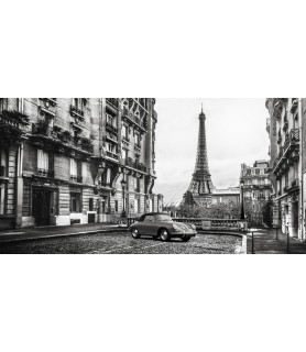 Roadster in Paris -...