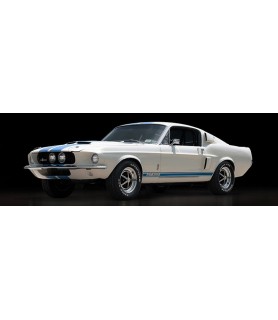 Shelby GT500 - Gasoline Images