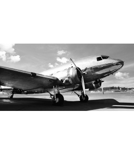 Vintage airplane - Gasoline...
