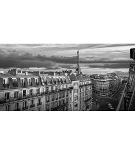 Morning in Paris (BW) -...