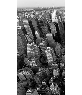 Skyscrapers in Manhattan I - Vadim Ratsenskiy