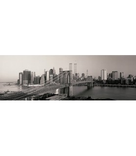 Brooklyn Bridge and...