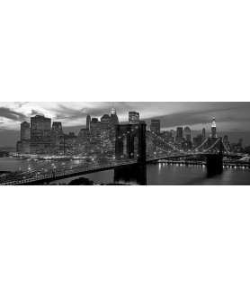 Brooklyn Bridge and Skyline...