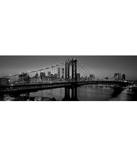 Manhattan Bridge and Skyline - Richard Berenholtz