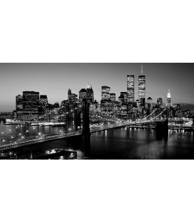 Brooklyn Bridge, NYC -...