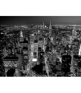 Midtown Manhattan at night - Richard Berenholtz