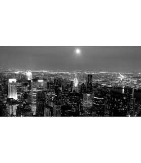 Aerial view of Manhattan,...