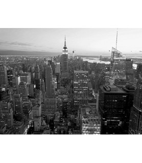 Skyline of Midtown Manhattan, NYC - Vadim Ratsenskiy