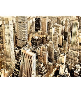 Skycrapers in Manhattan, NYC - Vadim Ratsenskiy
