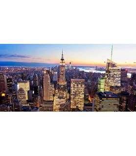 Aerial view of Manhattan,...