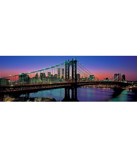Manhattan Bridge and Skyline - Richard Berenholtz