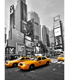 Times Square Traffic -...