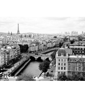 View of Paris and Seine...