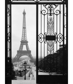Eiffel Tower from the...