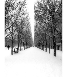 The Tuileries Garden under the snow, Paris - Michel Setboun