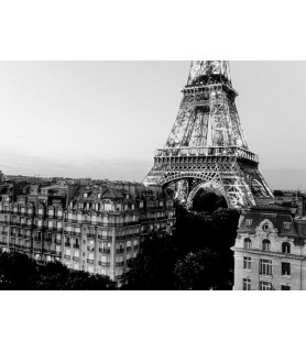 Eiffel tower and buildings, Paris - Michel Setboun
