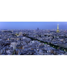 Aerial view of Paris at...