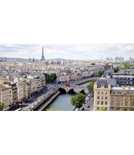 View of Paris - Vadim...
