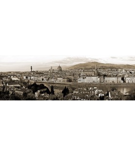 Panoramic view of Florence...