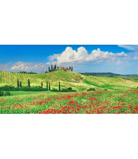 Farmhouse with Cypresses and Poppies, Val d'Orcia, Tuscany  - Frank Krahmer