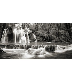Waterfall in a forest (BW) - Pangea Images