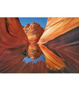 The Wave in Vermillion Cliffs, Arizona - Frank Krahmer