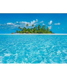 Tropical lagoon with palm island, Maldives - Frank Krahmer