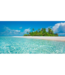 Palm island, Maldives -...