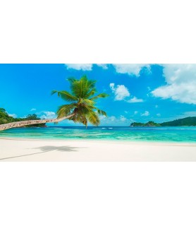 Tropical beach, Seychelles - Anonymous