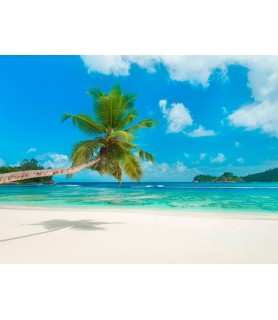 Tropical beach, Seychelles...