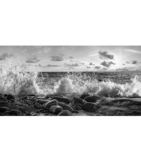Waves crashing, Point Reyes, California (detail, BW) - Pangea Images