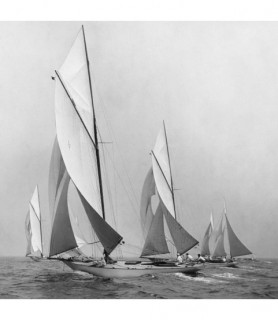 Sailboats Sailing Downwind,...