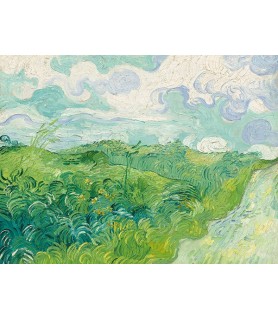 Green Wheat Fields, Auvers...