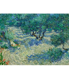Olive Orchard - Vincent van...