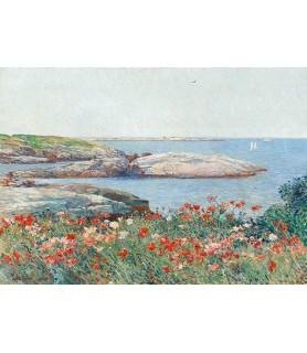 Poppies, Isles of Shoals -...