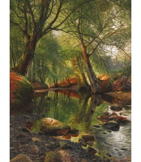 A woodland stream - Peder...