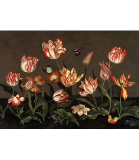 Still Life with Tulips -...