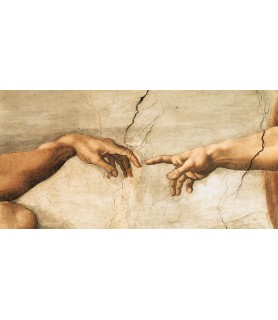 La creazione di Adamo (detail) - Michelangelo Buonarroti