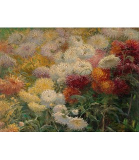 Chrysanthemums in the...