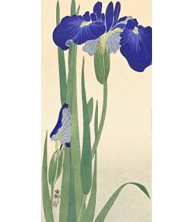 Irises - Ohara Koson