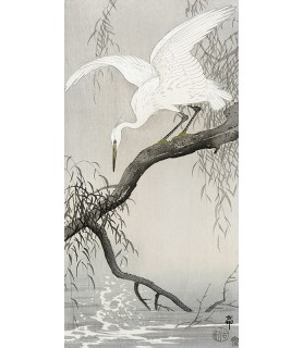 White heron on tree branch - Ohara Koson