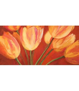 Orange Tulips - Silvia Mei