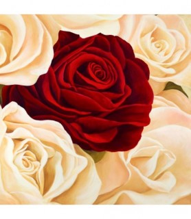 Rose composition (detail) - Serena Biffi