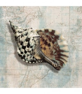 Sea Shell - Ted Broome