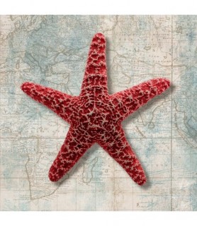Starfish - Ted Broome