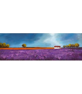 Field of lavender - Philip...