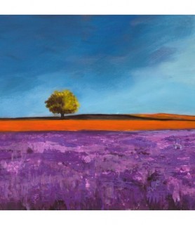 Field of Lavender (detail) - Philip Bloom